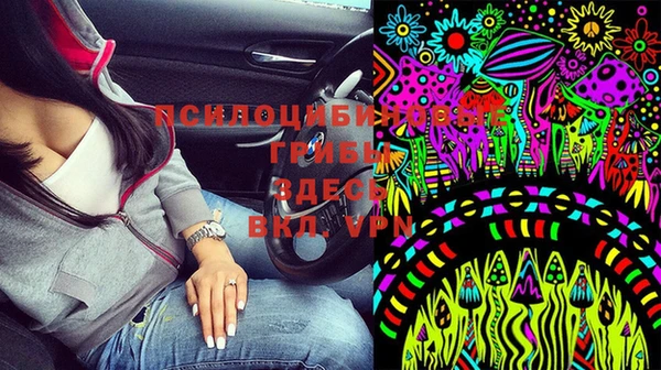кокс Алексеевка